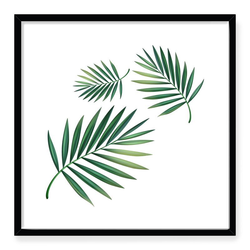 Doroteo Design Tropical Leaves Collection Home Decor Wall Art Print Frame