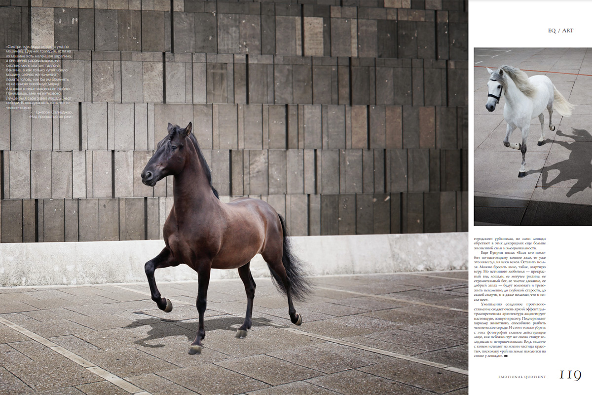Insignia Elite Magazine